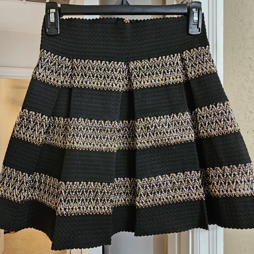 Embroidered Pleated Circle Skirt Black/Gold